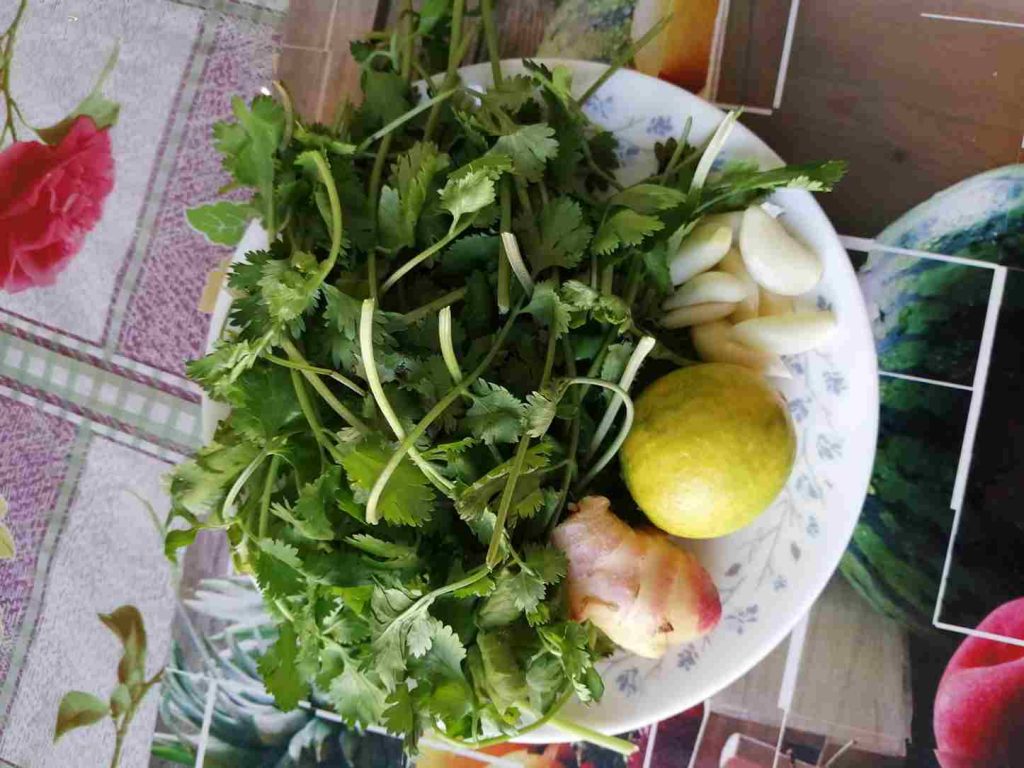 coriander with spices